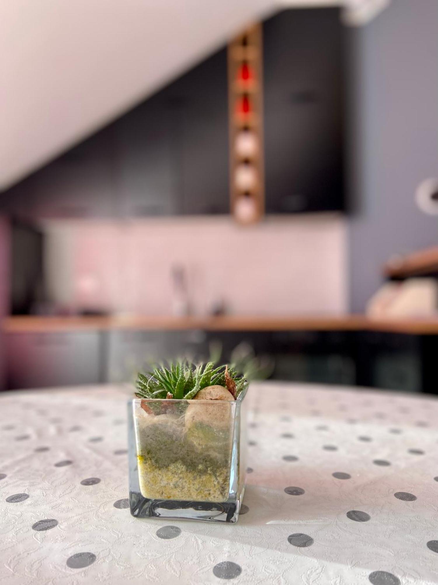 Banicevic Apartmani Ðenovići Екстериор снимка